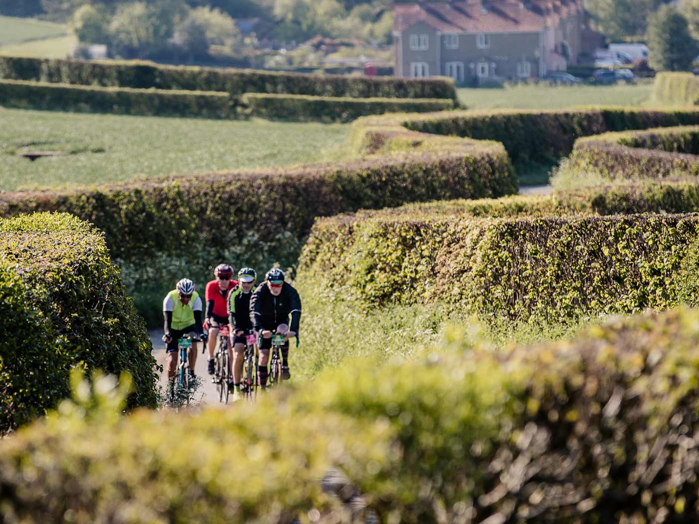 Country lanes